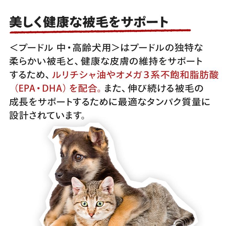 ロイヤルカナン（ROYAL CANIN） 犬 プードル 3kg 中〜高齢犬 8歳以上