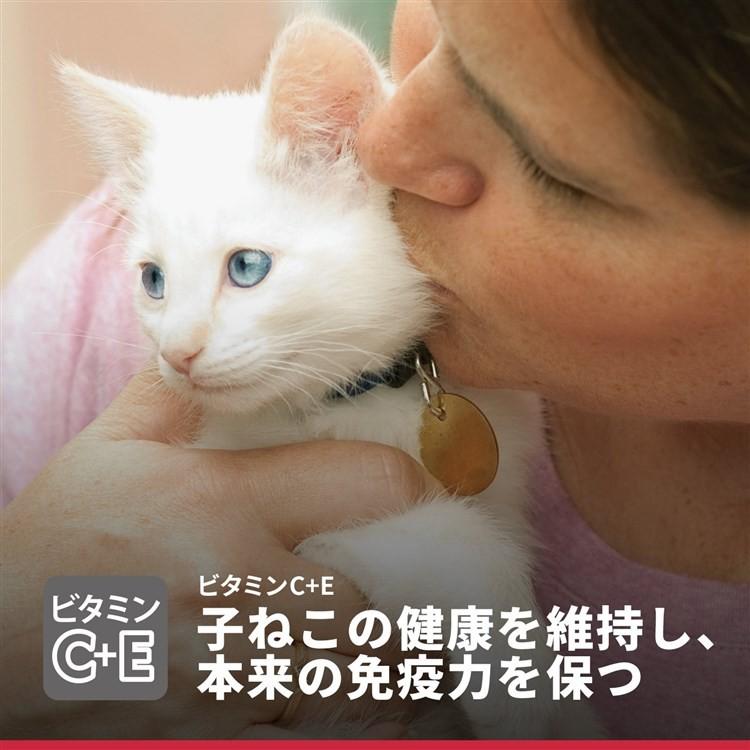 猫 フード ヒルズ サイエンスダイエット キトン キャットフード ドライ 小猫 子ねこ用 〜12ヶ月 妊娠・授乳期 チキン 800g 猫フード 小猫用 ドライフード 正規品｜wannyan｜08