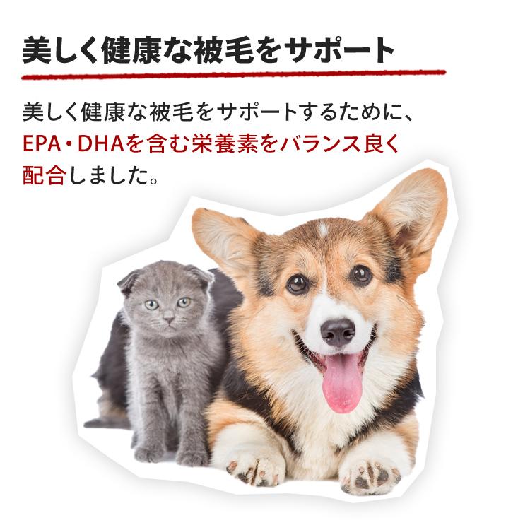 ロイヤルカナン 犬 ミニ インドア アダルト 8kg×2個セット 室内 ロイヤルカナン 犬 ミニ インドア アダルト 8kg×2個セット 室内
