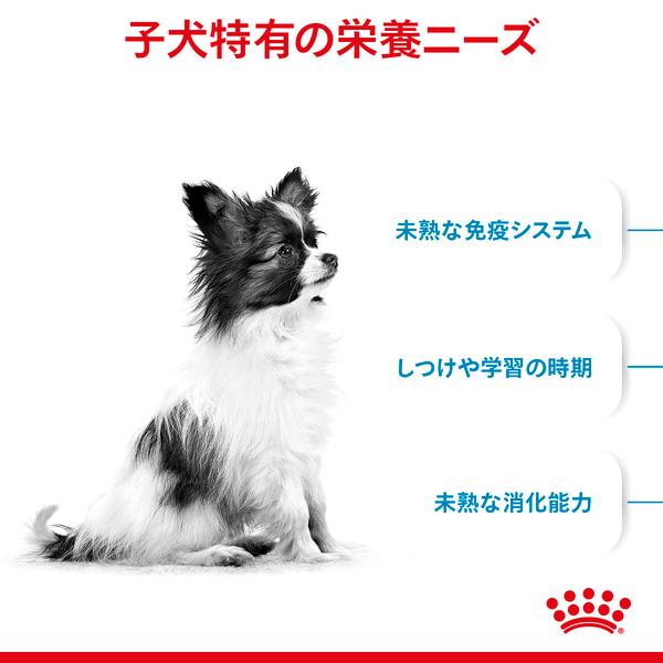ロイヤルカナン（ROYAL CANIN） 犬 エクストラスモール パピー 3kgx2個