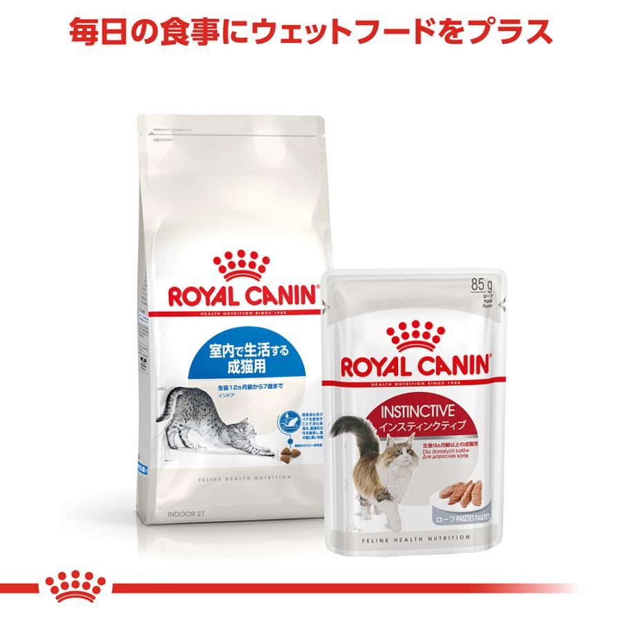 ロイヤルカナン（ROYAL CANIN） 猫 インドア 400g×2袋セット 室内猫