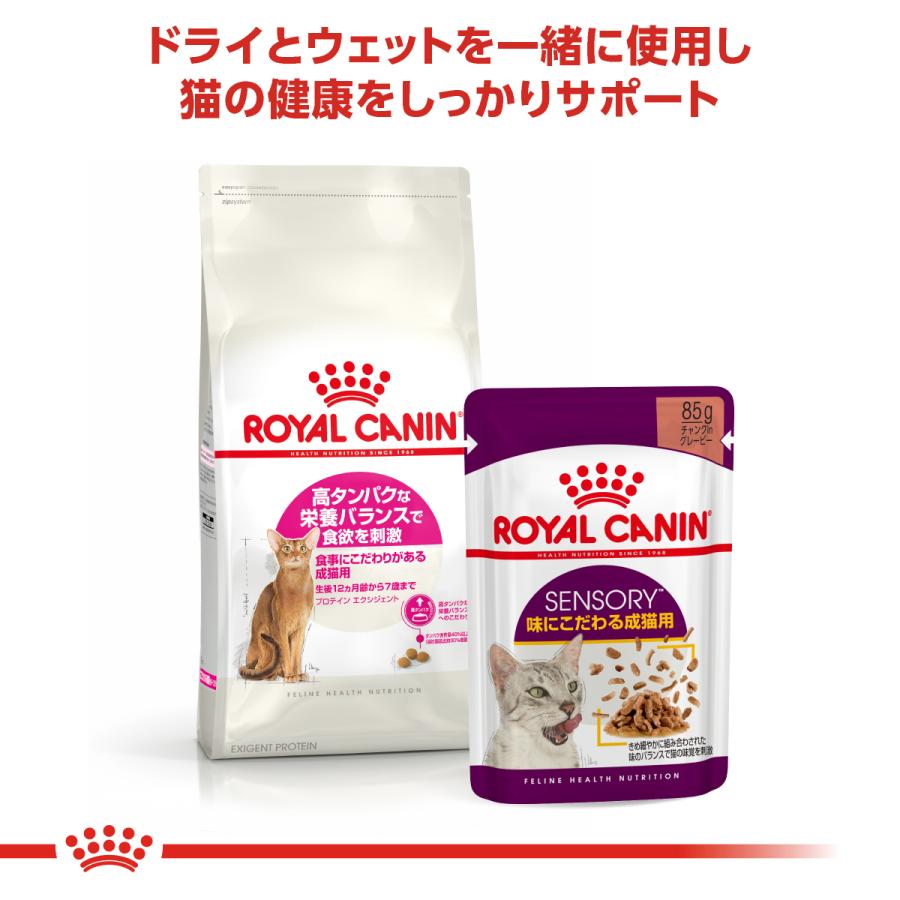 4袋x2kg ロイヤルカナン 高タンパクFHN プロテイン 成猫用 ロイヤルカナン（ROYAL CANIN） 猫 プロテインエクシジェント 400g×2個