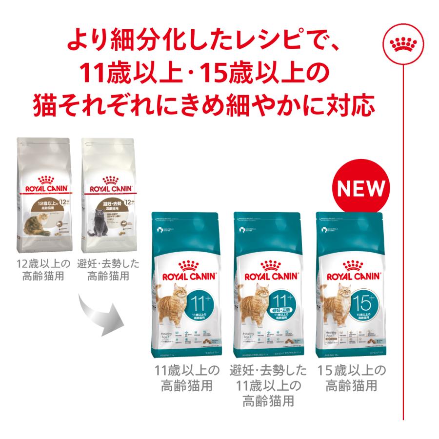 ロイヤルカナン（ROYAL CANIN） キャット エイジング 11+ 4kg 2個
