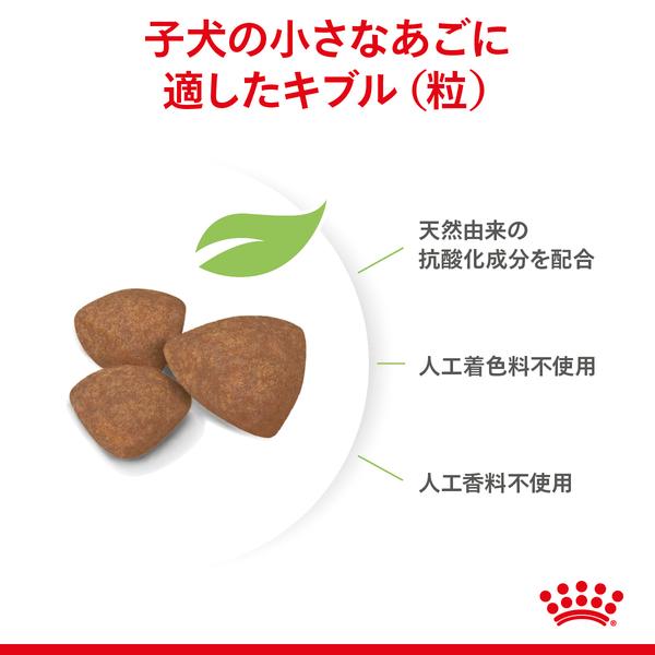 ロイヤルカナン（ROYAL CANIN） ミニ インドア パピー 800g×2