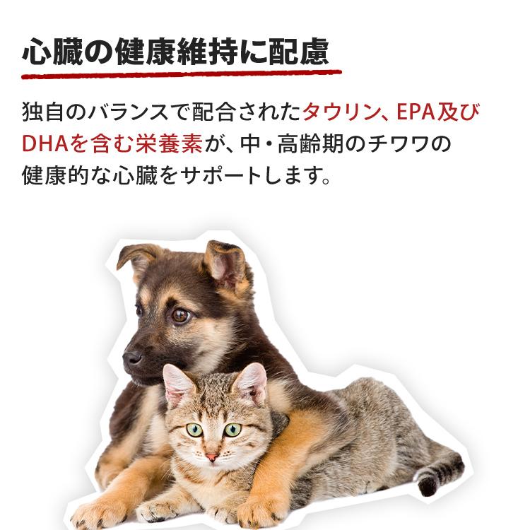 ロイヤルカナン（ROYAL CANIN） チワワ 8+ 中・高齢犬用 3kg×2個セット