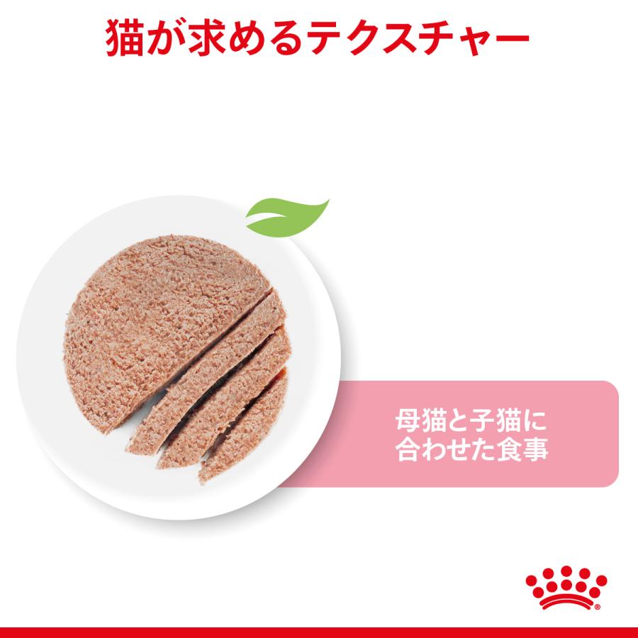 ロイヤルカナン マザー＆ベビーキャット 100g 猫 24個セット