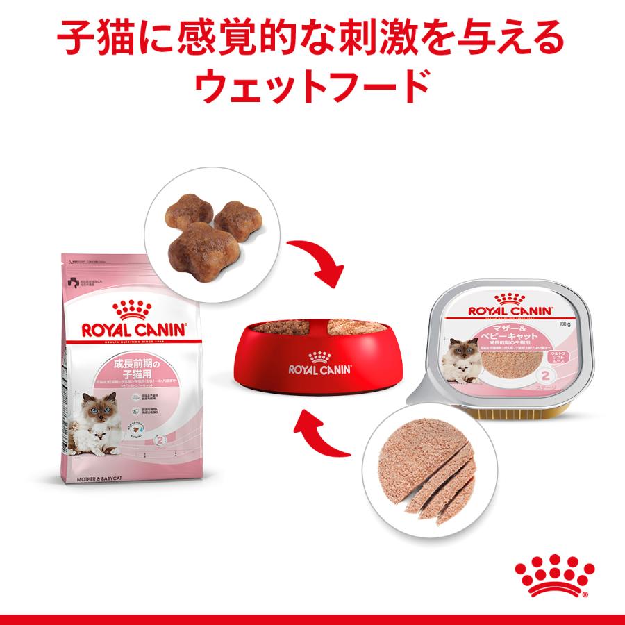 ロイヤルカナン（ROYAL CANIN） マザー＆ベビーキャット 100g 猫 24個