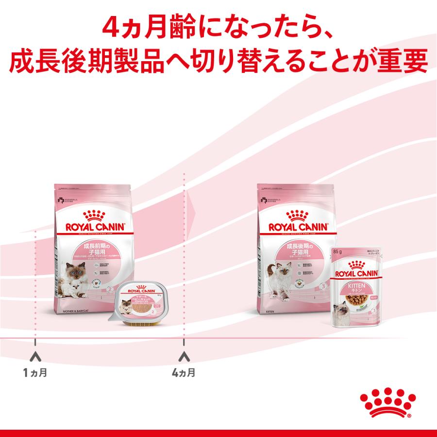 ロイヤルカナン マザー＆ベビーキャット 100g 猫 50個セット ロイヤルカナン マザー＆ベビーキャット 100g 猫 24個セット
