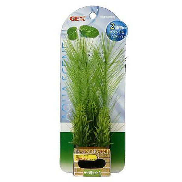 アクア FPケヤリ草セットS(D)(LP) |  | 01