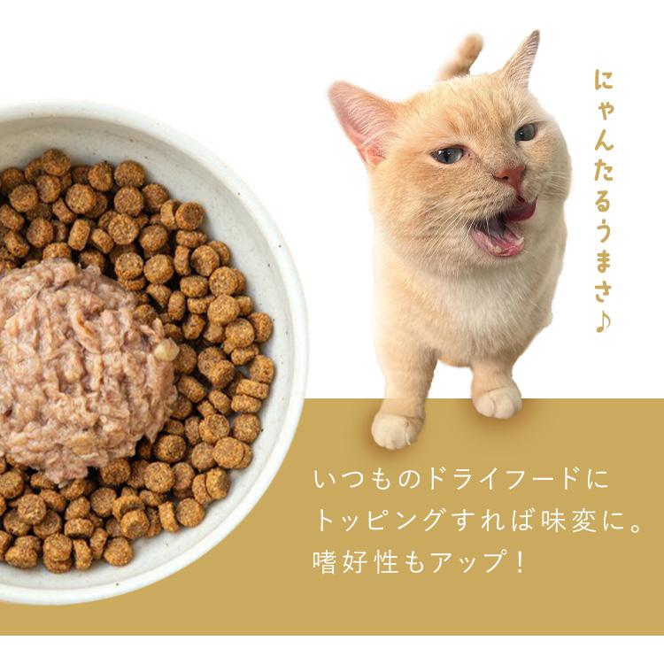 IRIS OHYAMA（アイリスオーヤマ） キャットフード ウェット 3P 猫餌