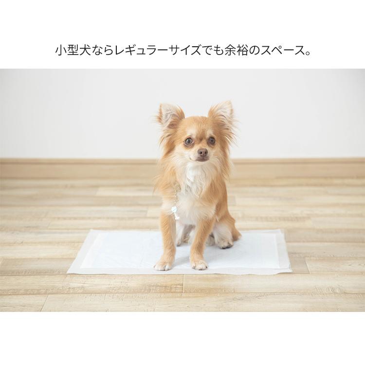 ペットシーツ ワイド レギュラー ペット シーツ 犬 猫 超吸収 レギュラー88枚 ワイド42枚 ダブルワイド20枚 お試し アイリスオーヤマ | IRIS OHYAMA | 18