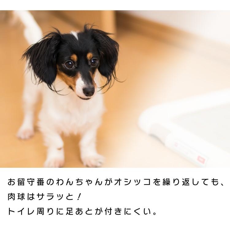 IRIS OHYAMA ペットシーツ 厚型 レギュラー 100枚 ワイド 50枚