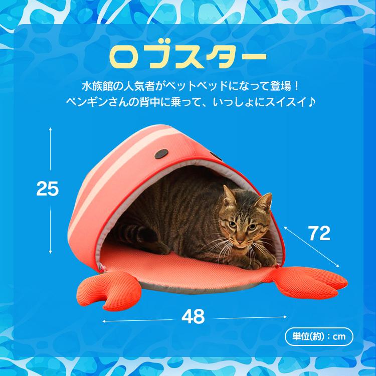 犬 ペットベッド 夏用 夏 洗える ドーム かわいい 犬用ベッド 猫用ベッド 猫 モチーフ ペット ベッド 夏 クール アイリスオーヤマ ひんやり PCB-560U｜wannyan｜17