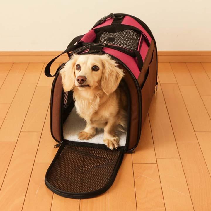 犬 猫 キャリーバッグ ペットキャリー キャリーケース おしゃれ ペット キャリー コンパクト 折りたたみソフトキャリー M POTC-500A アイリスオーヤマ|wannyan|03