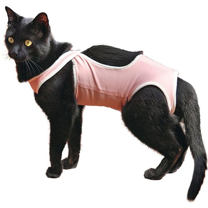 猫 術後服 エリザベスカラー キャットウェア 保護服 猫用ウェア 術後ガードスーツ キャット Xs 犬と生活 D B メール便 わんことにゃんこのおみせ 通販 Paypayモール