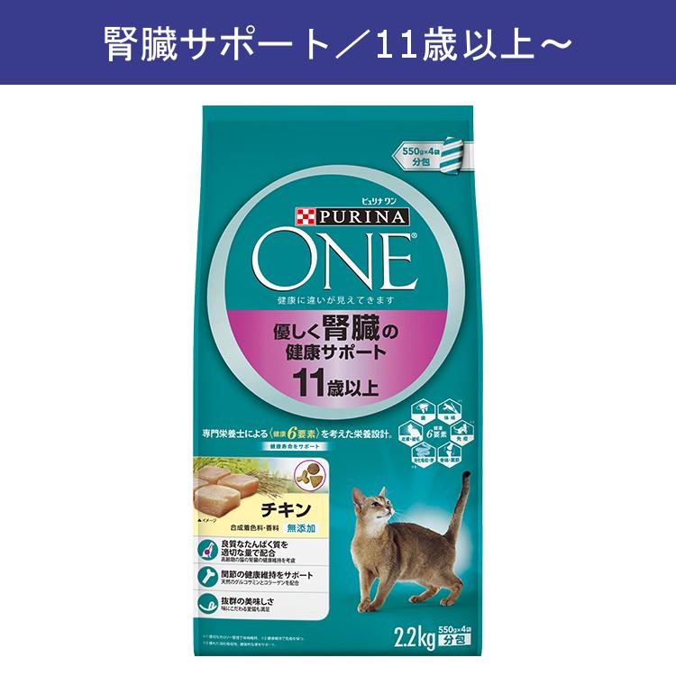 ピュリナワン 猫 キャット キャットフード ドライ 安全 フード one
