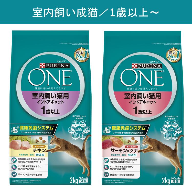 PURINA ONE ドライフード 2kg ５袋＆パウチセット PURINA ONE ドライフード 2kg 5袋＆パウチセット