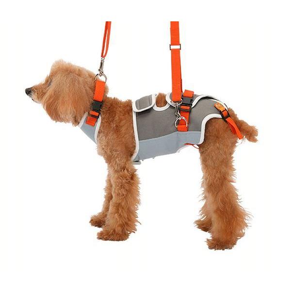 犬 ハーネス 犬介護 小型犬 With 歩行補助ハーネスlalawalk小型犬 ダックス用 グレーｘオレンジ 2tb0019 05 トンボ D わんことにゃんこのおみせ 通販 Paypayモール