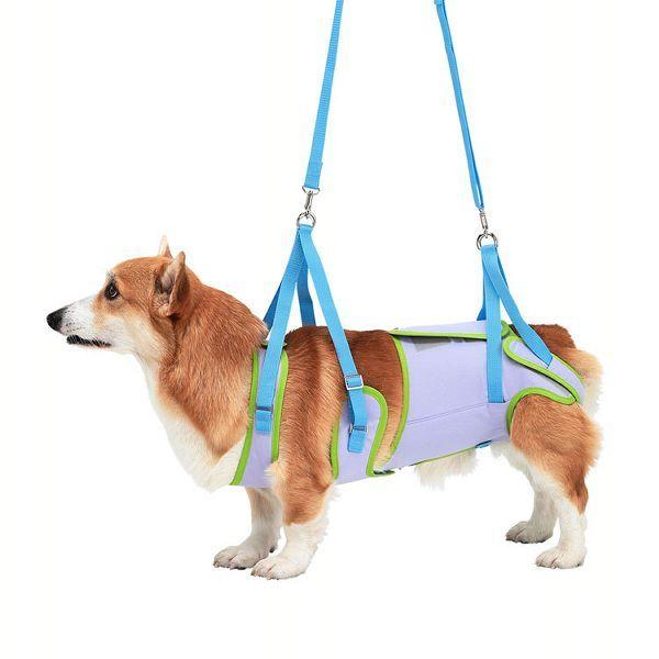 犬 ハーネス 犬介護 中型犬 With 歩行補助ハーネスlalawalk中型犬 コーギー用 ドリーム 2tc0021 65 トンボ D M Pet館 Yahoo 店 通販 Yahoo ショッピング