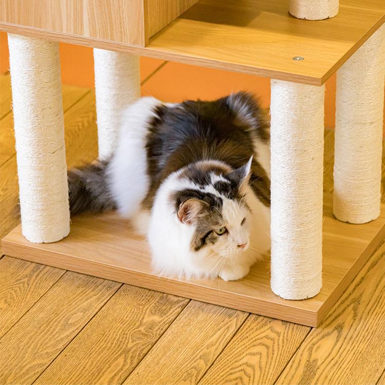 キャットタワー 木製 据え置き ハウス付き 爪とぎ 猫 タワー 猫タワー