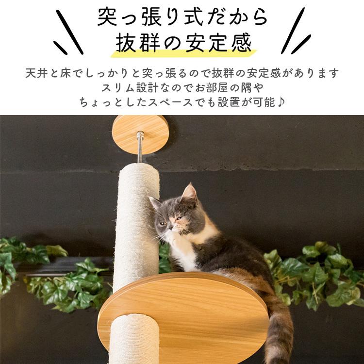 キャットタワー 木製 突っ張り 猫タワー おしゃれ スリム 木 省スペース 大型 ハンモック 木登りキャットタワー KCCT-244 爪とぎ｜wannyan｜06