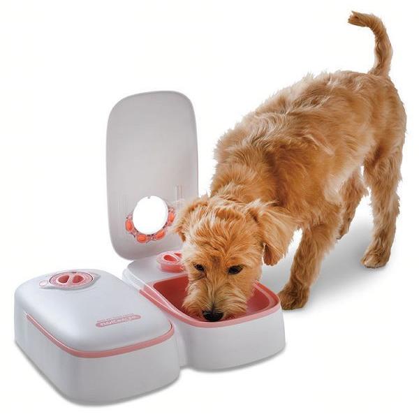 ペット自動給餌器 餌 エサ 自動 えさ わんにゃんぐるめ CD-300 (TC)(B