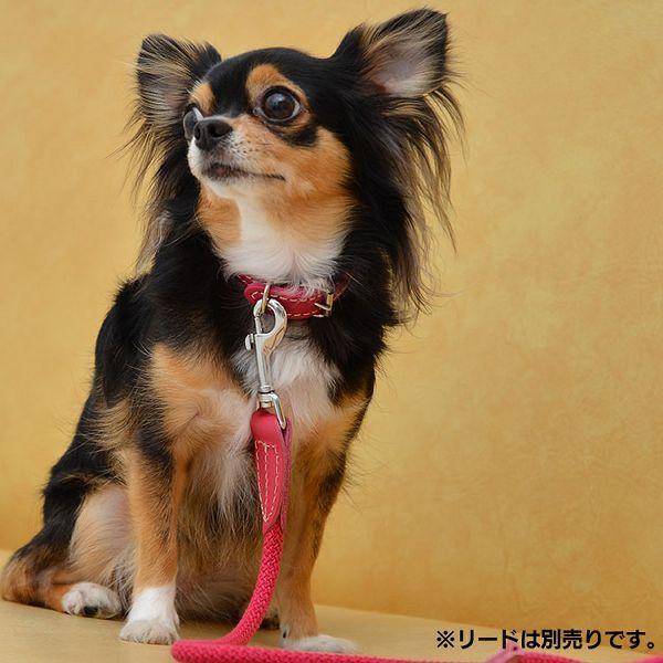 首輪 犬 おしゃれ 犬用 本革 カラー 柔らか コットンロープ 首輪 犬 おしゃれ 犬用 本革 カラー 柔らか コットンロープ