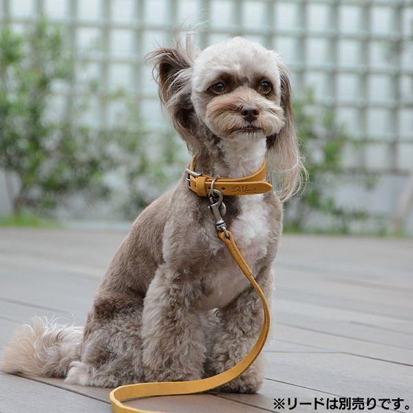 首輪 犬 おしゃれ かわいい 犬用 本革 カラー 柔らか ヌバックレザー