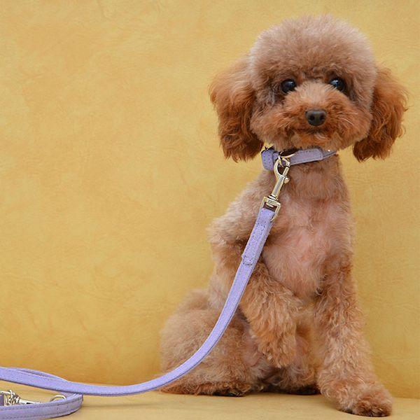 首輪 犬 おしゃれ 犬用 本革 カラー スエードレザー ハヤブサ Leda