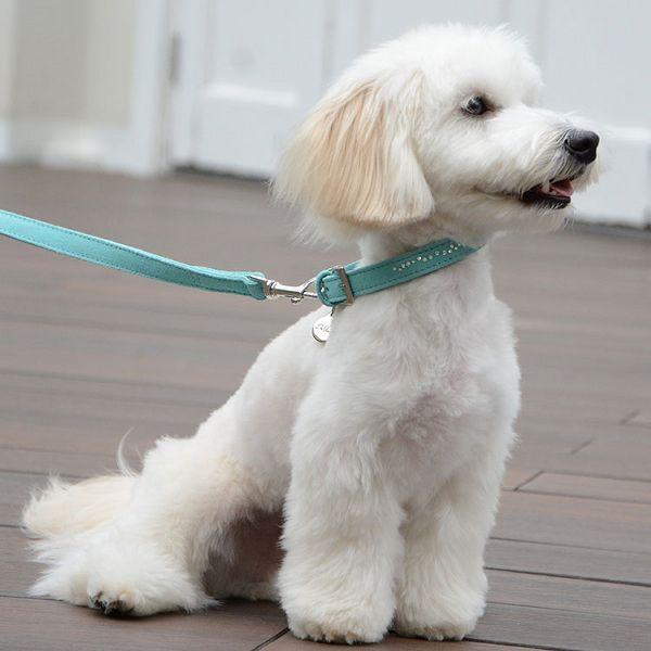 首輪 犬 おしゃれ 犬用 本革 カラー スエードレザー ハヤブサ Leda
