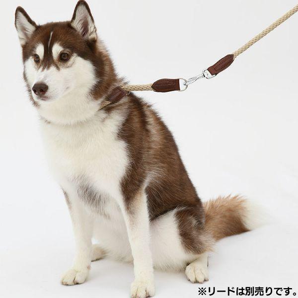 首輪 犬 おしゃれ 犬用 本革 カラー シンプル 高強度 大型犬 ハヤブサ