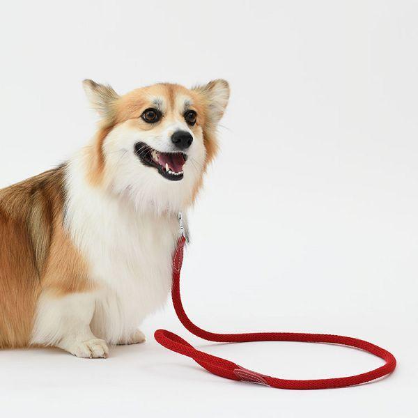 リード 犬 おしゃれ 本革 柔らか コットンロープ ハヤブサ 長さ