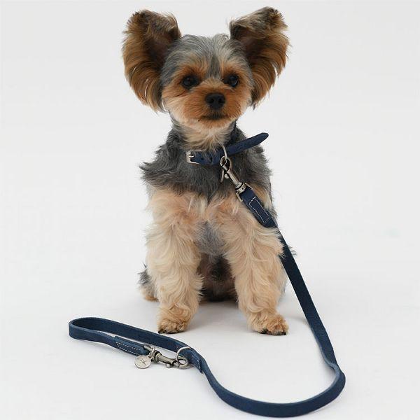 リード 犬 おしゃれ 本革 かわいい ヌバックレザー ハヤブサ 長さ110cm