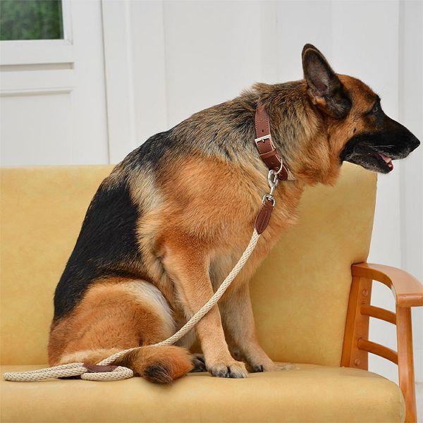 リード 犬 長い おしゃれ 犬用 本革 ロープ シンプル 映える 高強度 大型犬 ハヤブサ イタリア製 Lucrezia Leash ルクレツァリーシュ 長さ110cm Ldv307 Tc B わんことにゃんこのおみせ 通販 Paypayモール