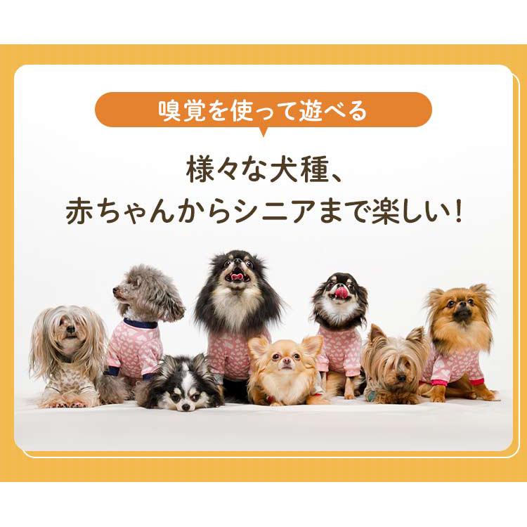 犬 おもちゃ ノーズワーク 犬 知育玩具 おもちゃ ノーズワークマット にんじん おもちゃ トイ にんじん畑 知育 |  | 04