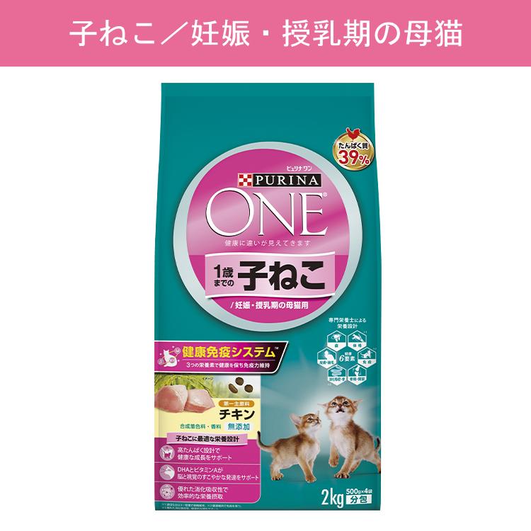 ピュリナワン 猫 キャット キャットフード ドライ 安全 フード one