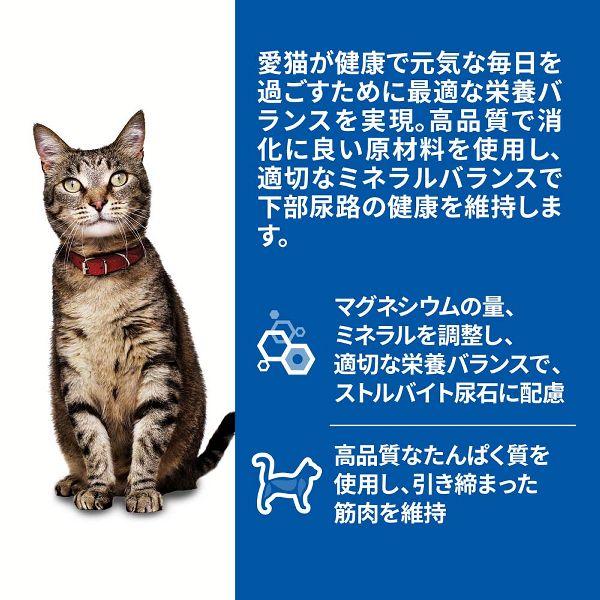 ヒルズ 猫 フード 猫 12袋セット 猫用 パウチ 85g ウェットフード 栄養