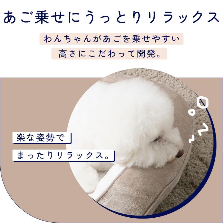 犬猫生活 8月より営業日が変わります🈺 ※エルダー(茨城 @petselder )に
