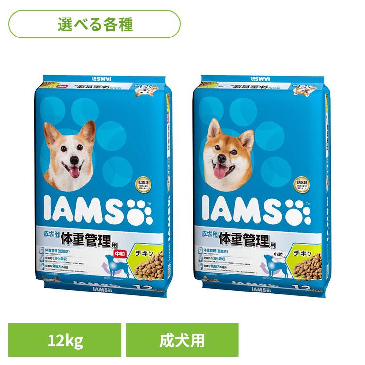アイムス（マース） 犬 フード IAMS アイムス ドッグフード 成犬用