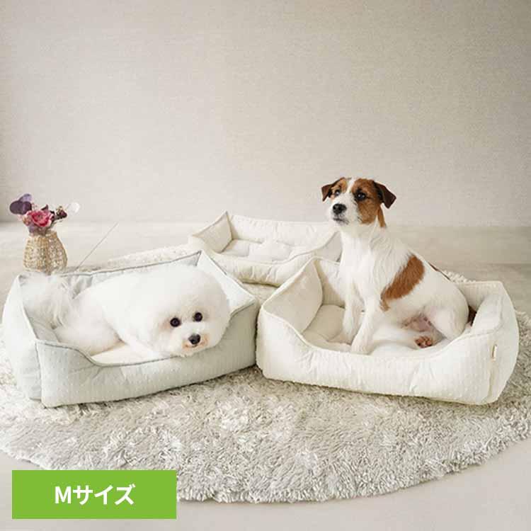 ペットベッド 春夏 あごのせ カドラー かわいい ゴールド アイボリー