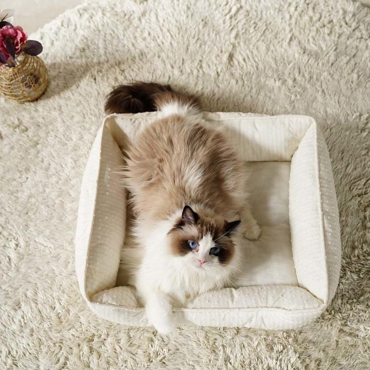 ペットベッド 春夏 あごのせ カドラー かわいい ゴールド アイボリー