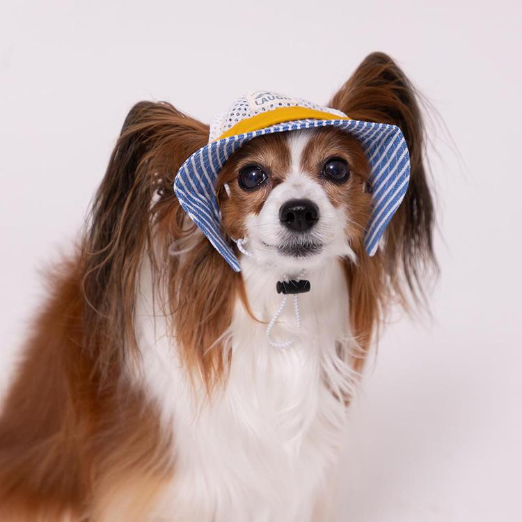 pipi 犬の帽子 ペット用品 帽子 お散歩 お出かけ 日焼け対策 夏 犬 猫