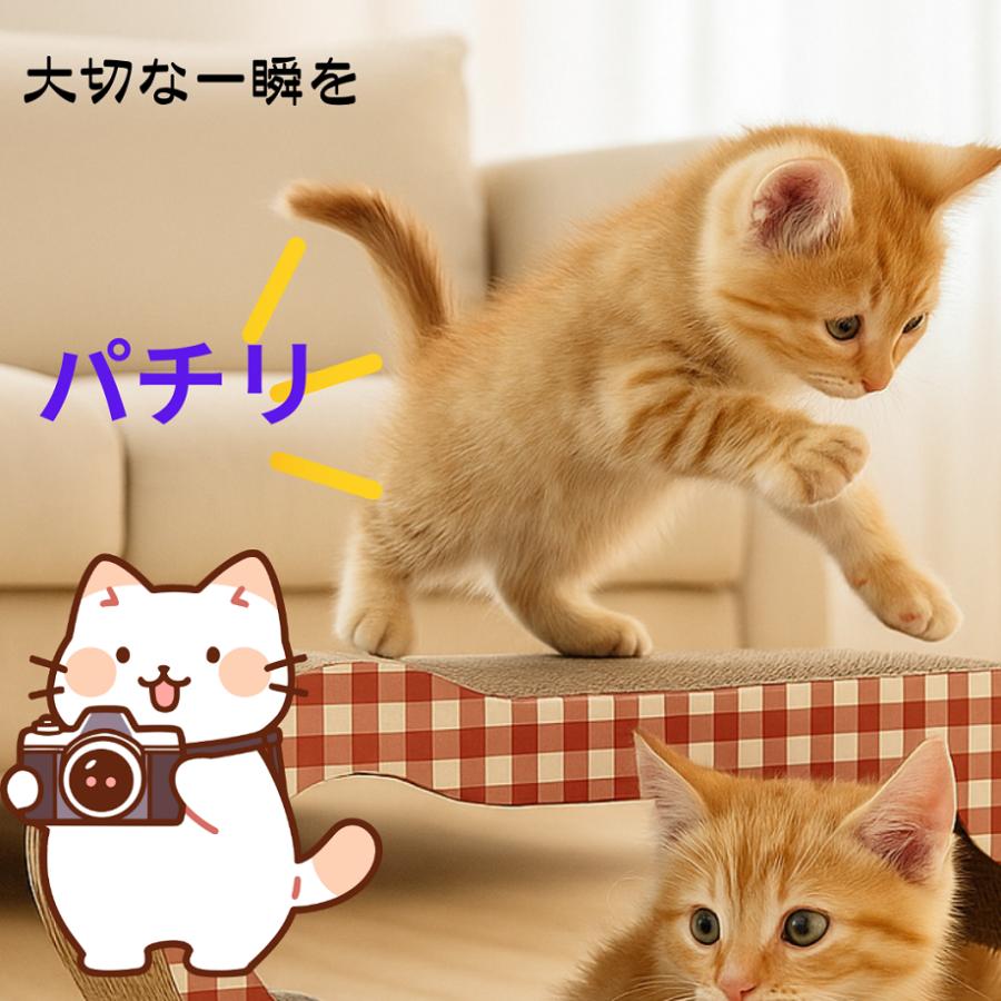 お試し特価 猫 爪とぎ 爪研ぎ つめとぎ ベッド 分割 セパレート 爪研ぎ