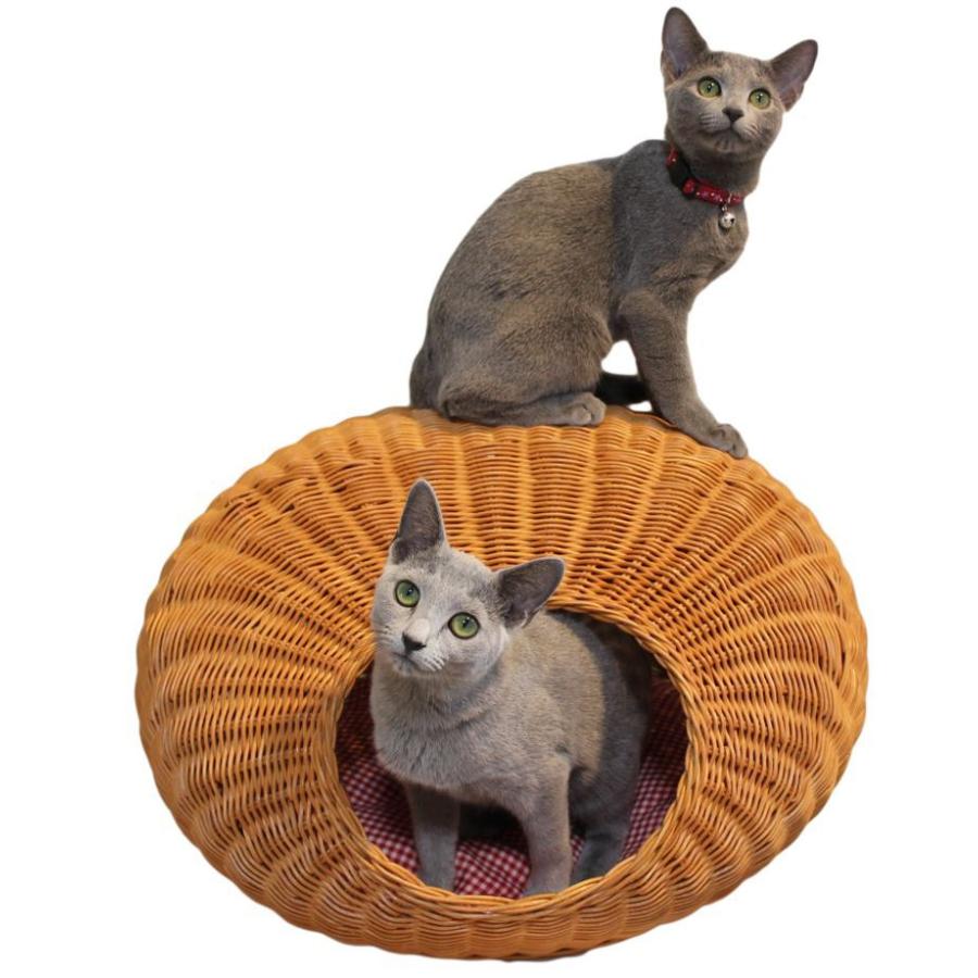ペット用品 猫用品 ベッド ラタン製ベッド ハウス 籐製品 SincereJapan