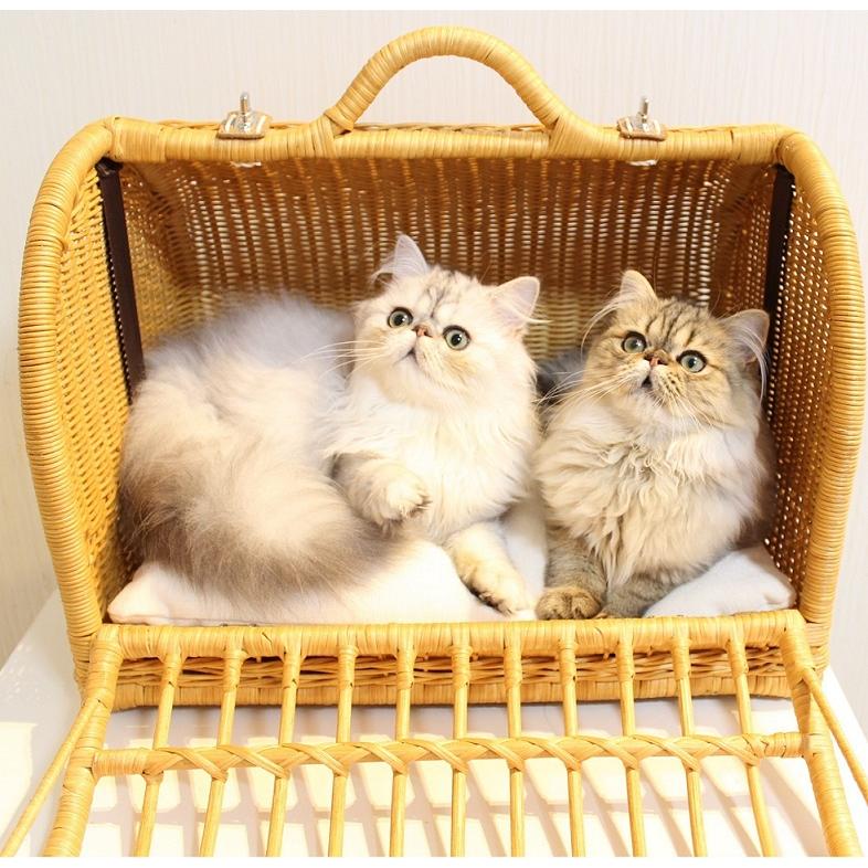ペット用品  猫用品  ラタンハウス ベッド  キャリー 愛猫籐製品 SincereJapan ラタンキャリーマインMサイズ★プレゼント付き★の画像