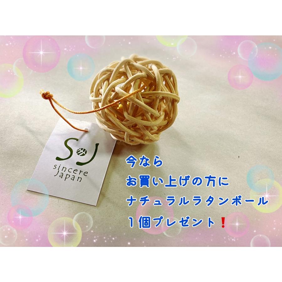ペット用品  猫用品  ラタンハウス ベッド  キャリー 愛猫籐製品 SincereJapan ラタンキャリーマインMサイズ★プレゼント付き★の画像
