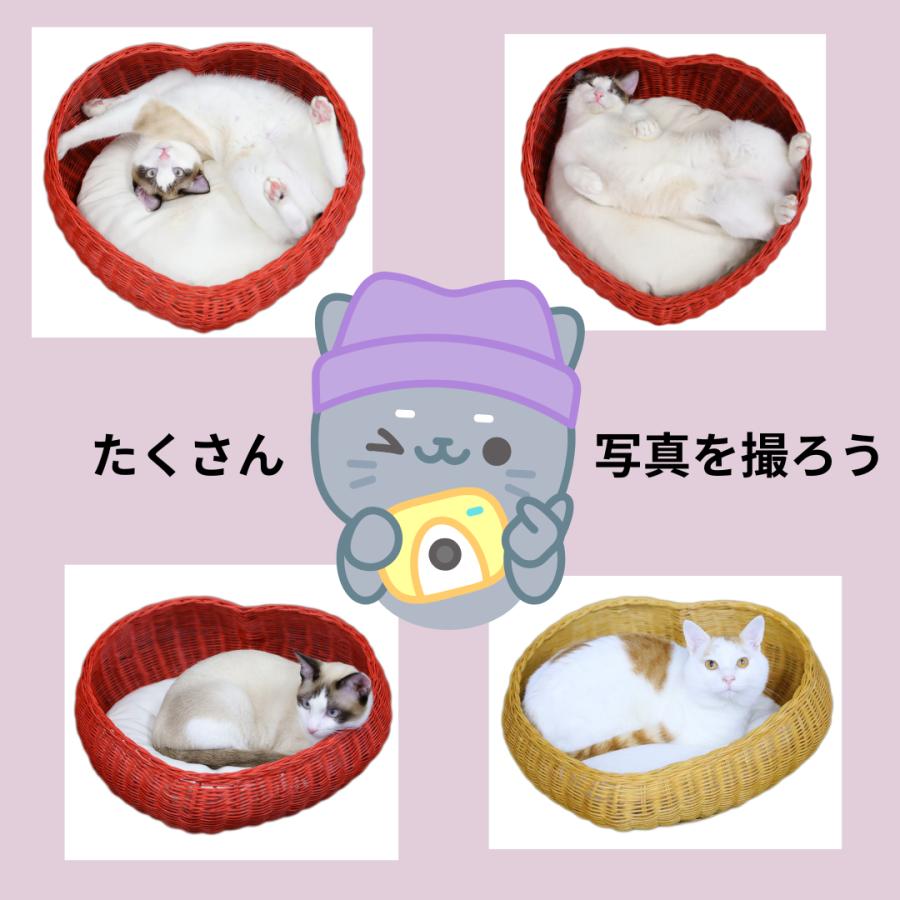 37839060_6