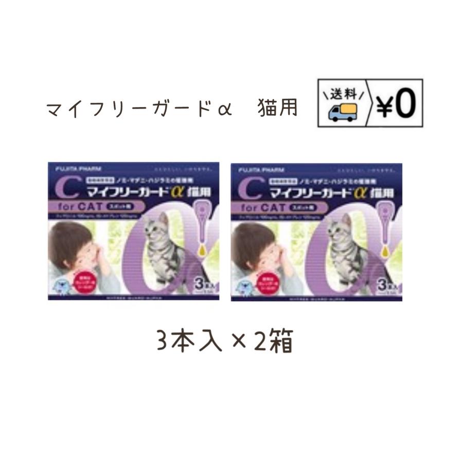 送料無料 マイフリーガードa猫用 3本入 2箱
