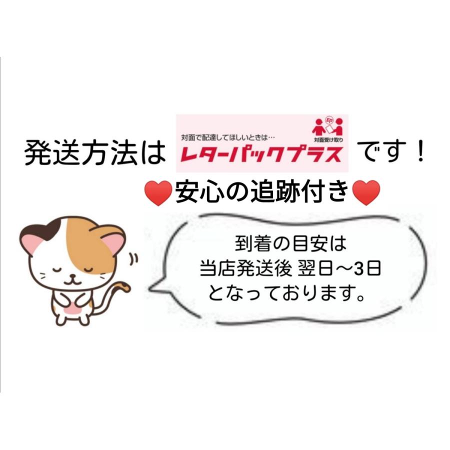 デンタルバイオ 10粒×10シート|wannyansinia|02