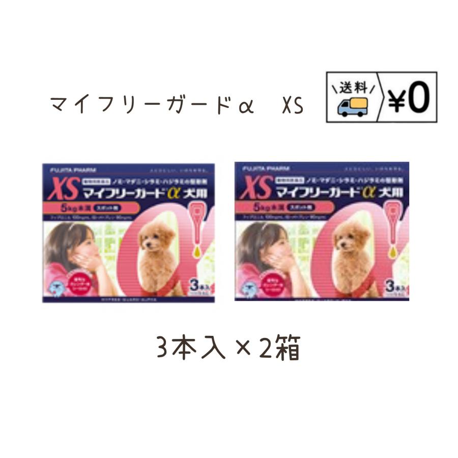 送料無料　マイフリーガードα犬用　XS 3本入×2箱　ネコポス発送　動物用医薬品（Yahoo!・わんにゃんシニア応援隊more）